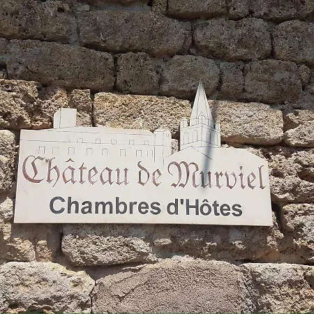 Chateau De