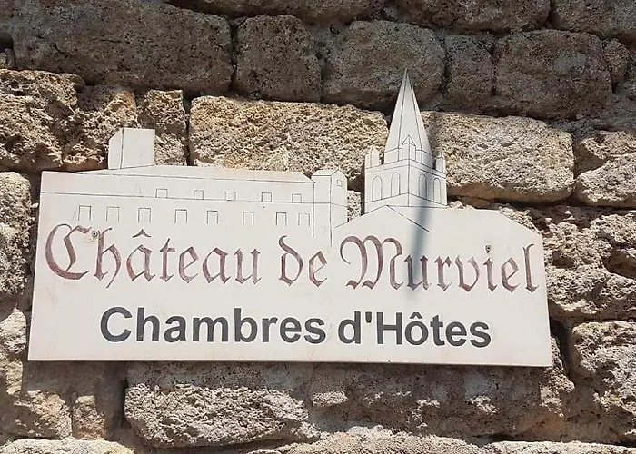 Chateau De